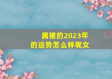 属猪的2023年的运势怎么样呢女