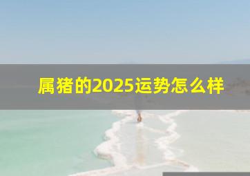 属猪的2025运势怎么样