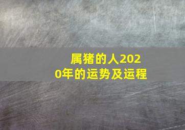 属猪的人2020年的运势及运程