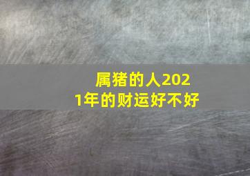 属猪的人2021年的财运好不好