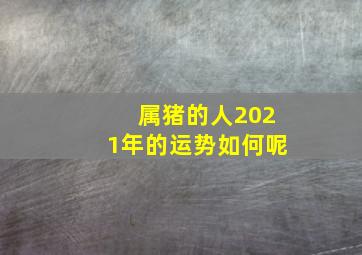 属猪的人2021年的运势如何呢