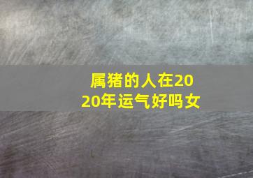 属猪的人在2020年运气好吗女