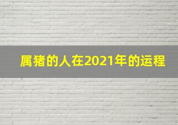 属猪的人在2021年的运程