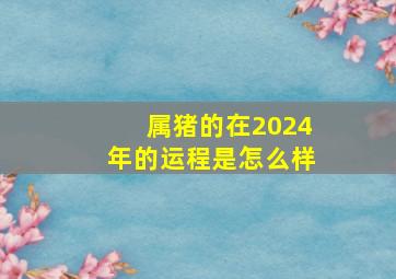 属猪的在2024年的运程是怎么样