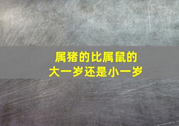 属猪的比属鼠的大一岁还是小一岁