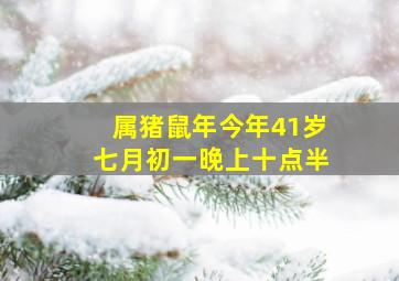 属猪鼠年今年41岁七月初一晚上十点半