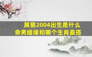 属猴2004出生是什么命男姻缘和哪个生肖最搭