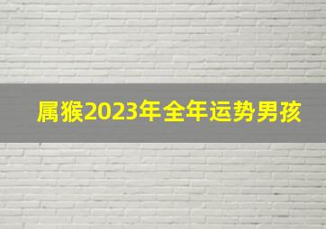 属猴2023年全年运势男孩