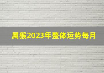 属猴2023年整体运势每月