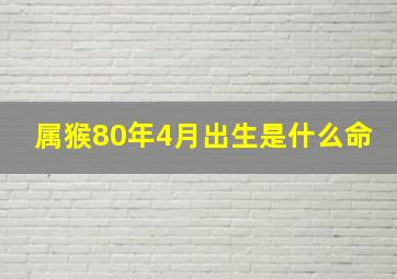 属猴80年4月出生是什么命