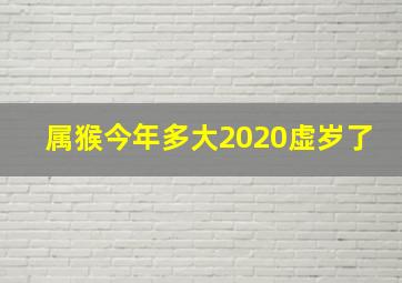 属猴今年多大2020虚岁了