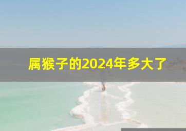 属猴子的2024年多大了