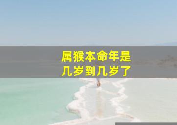 属猴本命年是几岁到几岁了