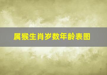 属猴生肖岁数年龄表图