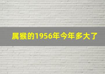 属猴的1956年今年多大了