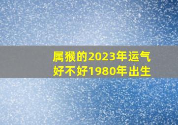 属猴的2023年运气好不好1980年出生