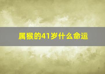 属猴的41岁什么命运