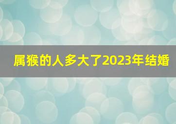 属猴的人多大了2023年结婚