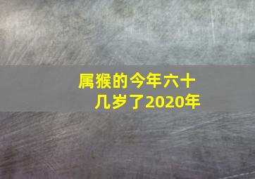 属猴的今年六十几岁了2020年