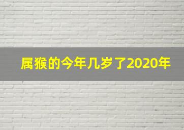 属猴的今年几岁了2020年