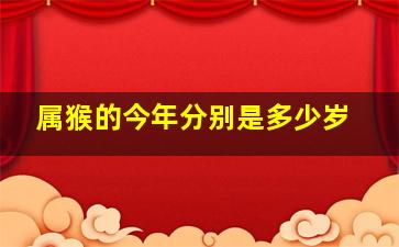 属猴的今年分别是多少岁