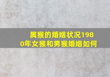 属猴的婚姻状况1980年女猴和男猴婚姻如何