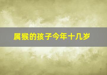 属猴的孩子今年十几岁