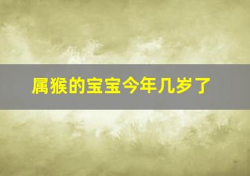 属猴的宝宝今年几岁了