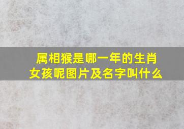 属相猴是哪一年的生肖女孩呢图片及名字叫什么