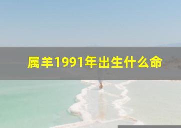 属羊1991年出生什么命