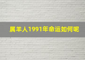 属羊人1991年命运如何呢