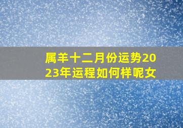 属羊十二月份运势2023年运程如何样呢女