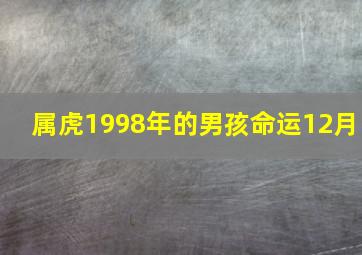 属虎1998年的男孩命运12月