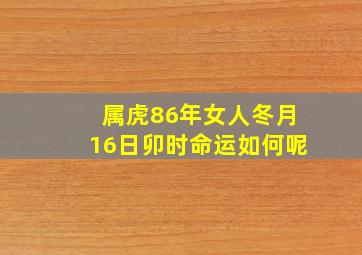 属虎86年女人冬月16日卯时命运如何呢