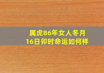 属虎86年女人冬月16日卯时命运如何样