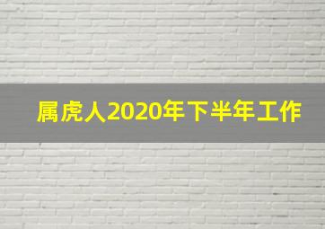 属虎人2020年下半年工作