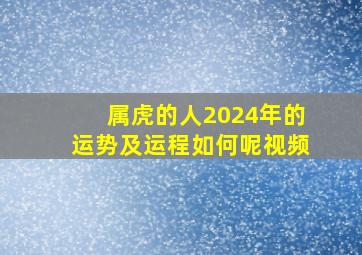 属虎的人2024年的运势及运程如何呢视频