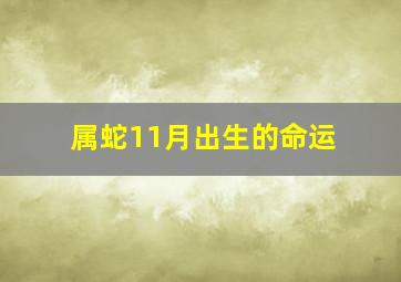 属蛇11月出生的命运