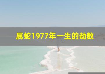 属蛇1977年一生的劫数