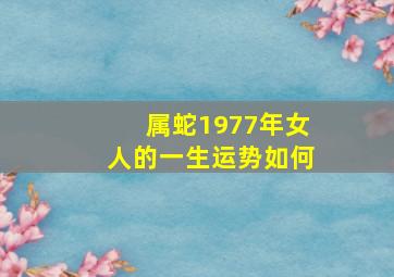 属蛇1977年女人的一生运势如何