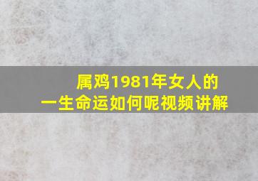 属鸡1981年女人的一生命运如何呢视频讲解