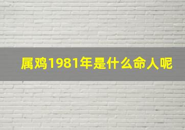 属鸡1981年是什么命人呢