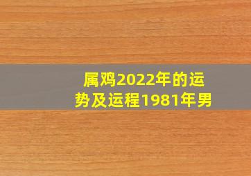 属鸡2022年的运势及运程1981年男