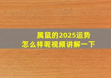 属鼠的2025运势怎么样呢视频讲解一下