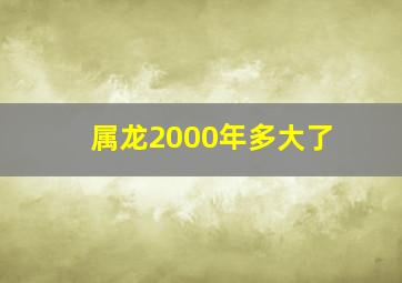 属龙2000年多大了