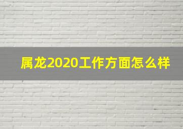 属龙2020工作方面怎么样