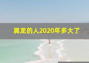 属龙的人2020年多大了