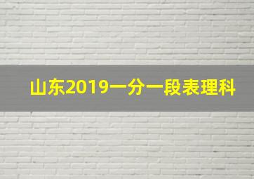 山东2019一分一段表理科