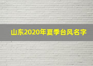 山东2020年夏季台风名字