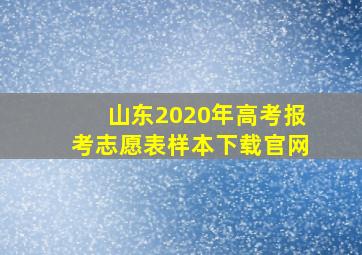 山东2020年高考报考志愿表样本下载官网